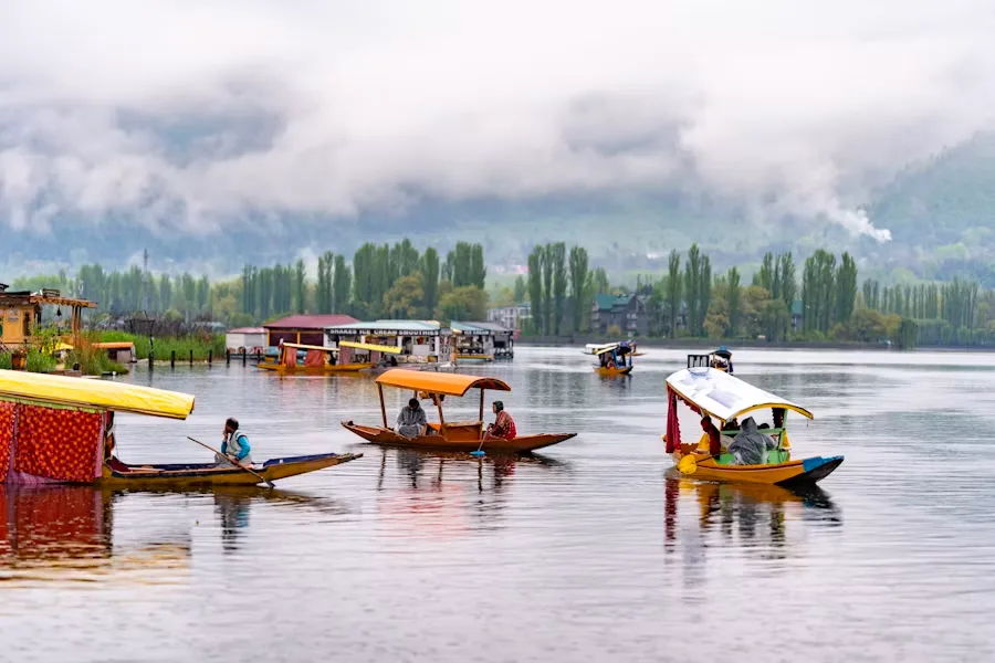 Kashmir, season by season